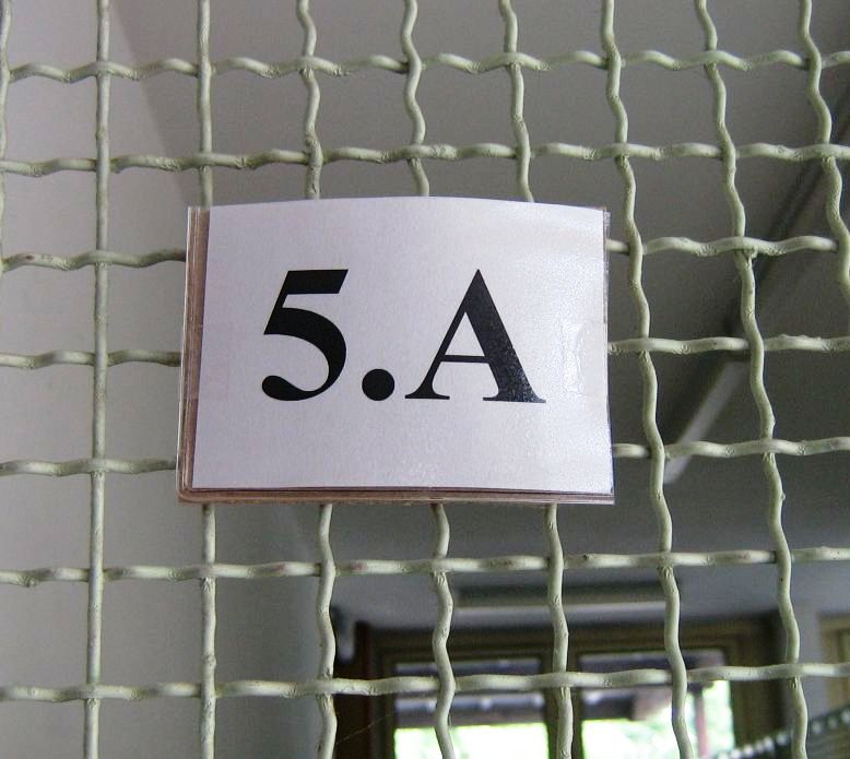 skola v auguste 15