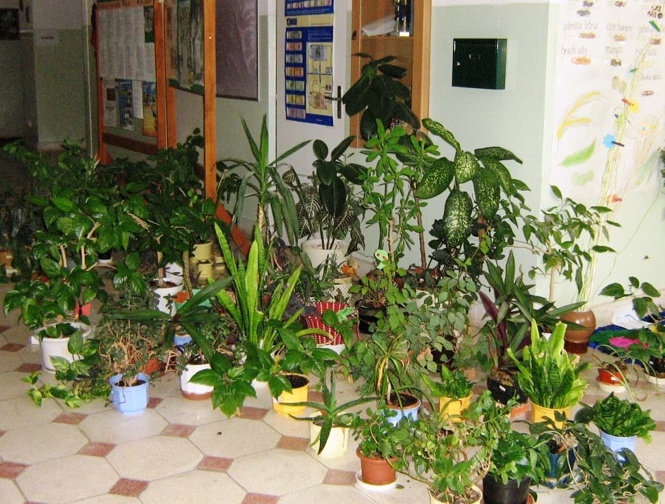 skola v auguste 04
