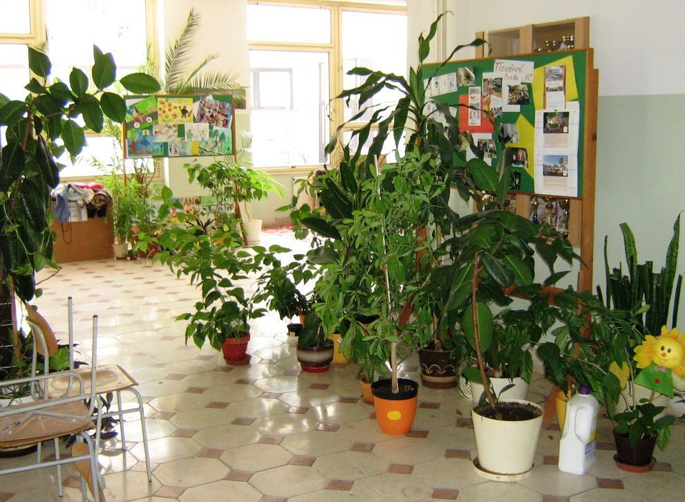 skola v auguste 05